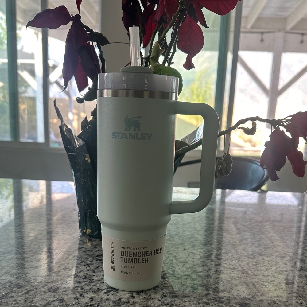 Stanley Mint Green Quencher H2.0 Tumbler